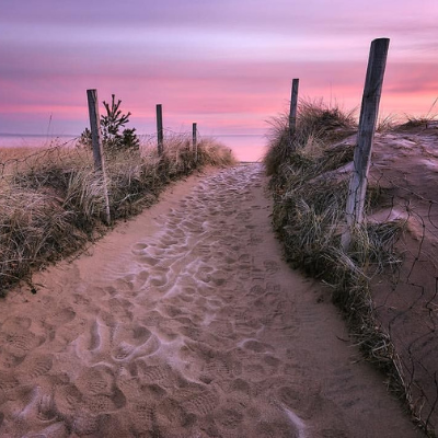 park point beach sand with pink sunset in background