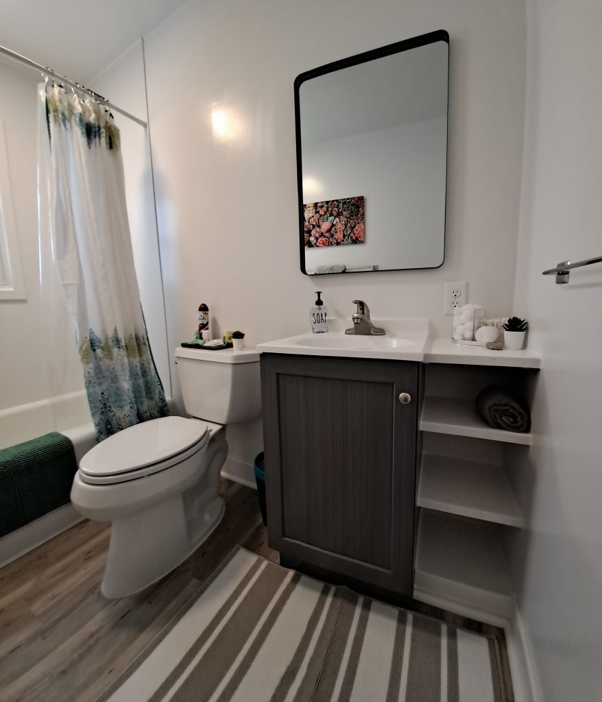 Main Floor Bathroom