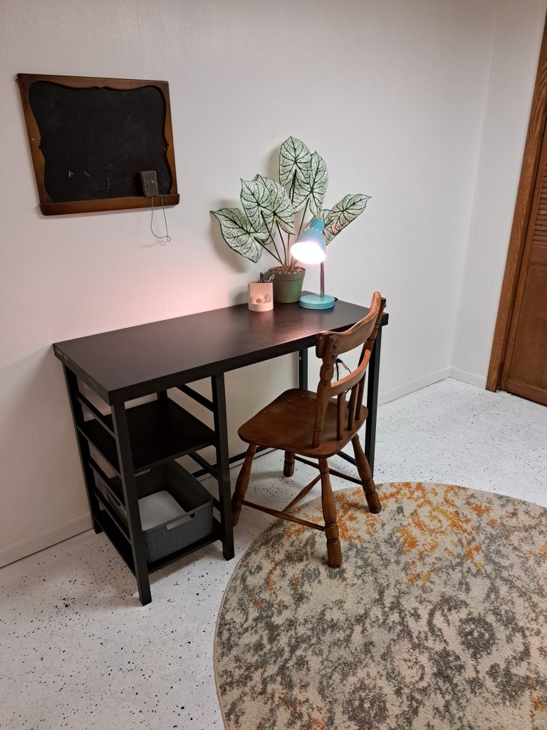 Lower Floor Dedicated Work Space
