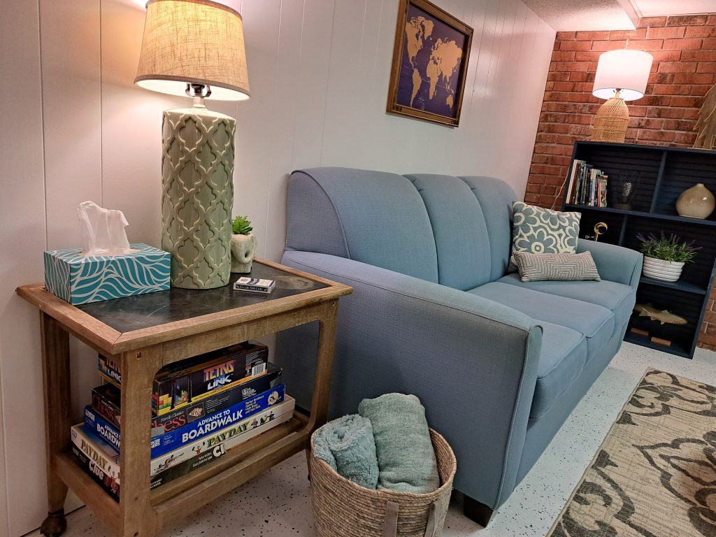 Lower Floor Living Room