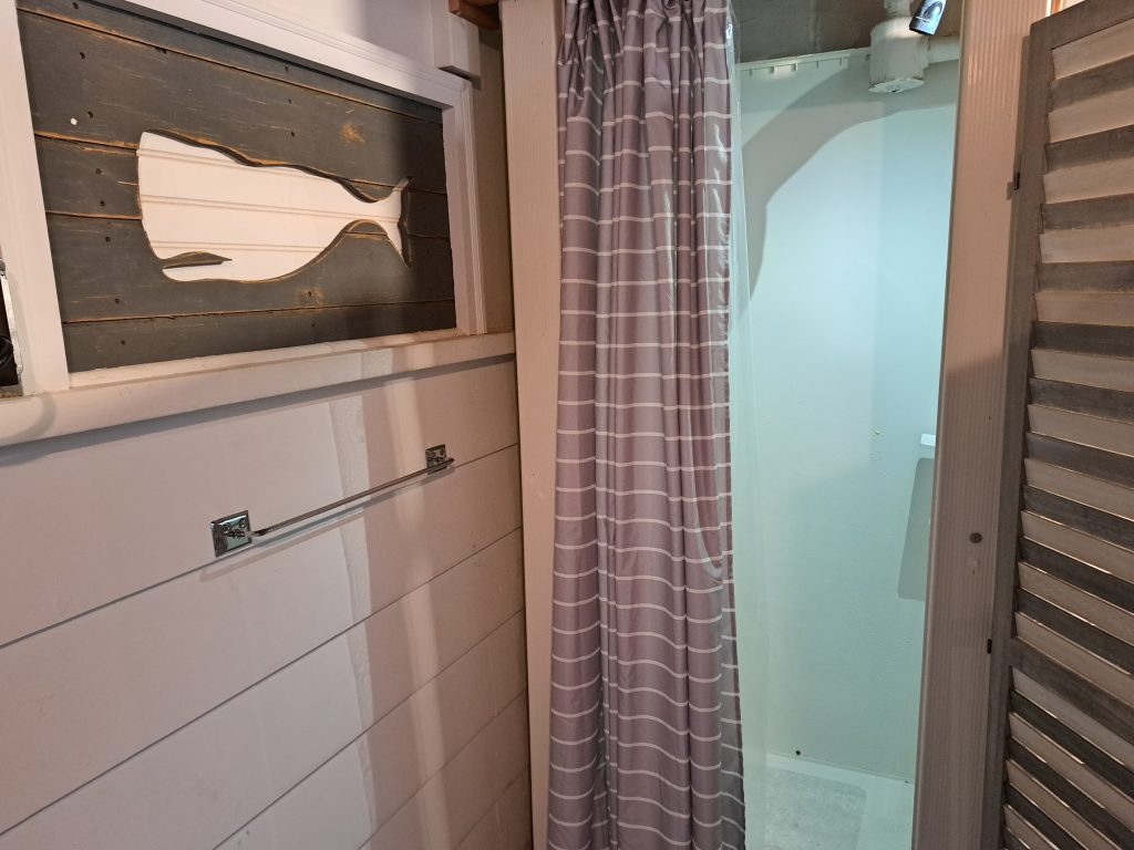 Lower Floor Shower